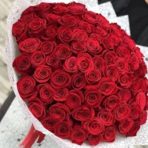 100 LINIER RED ROSES