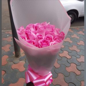 Pink roses