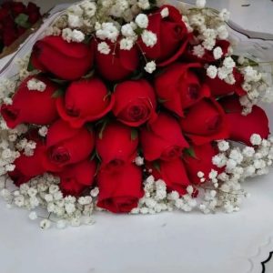 Red roses and baby breath