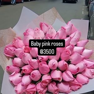 Pink roses