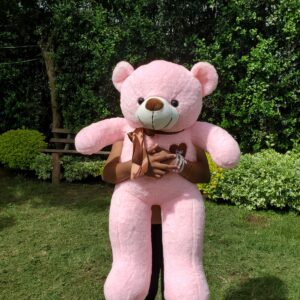 BIG PINK TEDDY