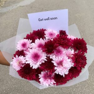 BEAUTIFULLY HELD MUMS